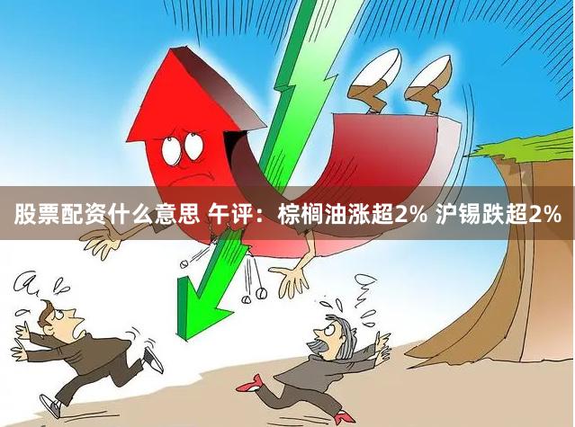 股票配资什么意思 午评：棕榈油涨超2% 沪锡跌超2%