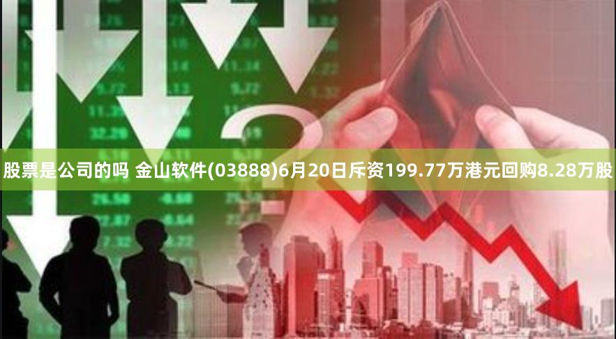 股票是公司的吗 金山软件(03888)6月20日斥资199.77万港元回购8.28万股