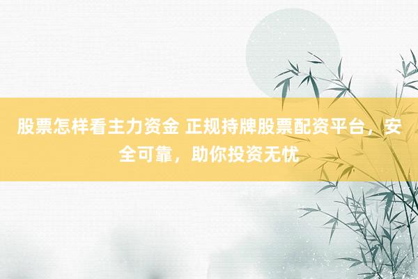股票怎样看主力资金 正规持牌股票配资平台，安全可靠，助你投资无忧